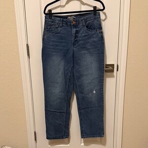 Democracy Straight Leg Blue Jeans